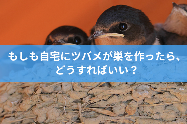 Pgsホームとはどんな会社 知恵袋のような質問 口コミ投稿サイト 外壁塗装の知恵ノート Pgsホームとはどんな会社 知恵袋のような質問 口コミ投稿サイト 外壁塗装の知恵ノート